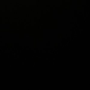 Meet your Posher, Frances ann